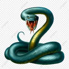 Circled Snake Snake Cartoon 3d Png Transparent Image And Clipart For Free Download Clip Art Snake How To Draw Hands