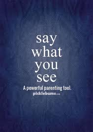 Say What You See Picklebums Parenting Discipline Parenting Tools Positive Parenting
