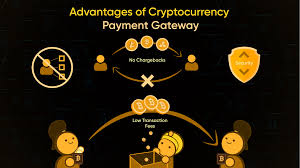 While the company is still fairly new on the market, it has managed to gain a lot of popularity, thanks to its impressive low trading fees. Is Crypto Payment Gateway Integration Undeniable In E Commerce A Peep On Its Benefits By Joseph Rico Linkedin