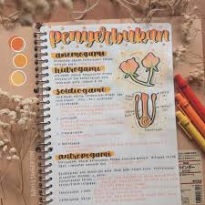 C E L Y N Di Instagram Semi Halloween Edition I M Sorry I Haven T Posted On This Account In A While This Is My Newes Belajar Buku Pelajaran Buku Catatan
