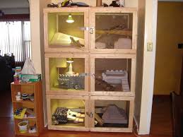Multi Layered Reptile Habitat Bearded Dragon Cage Bearded Dragon Reptile Habitat