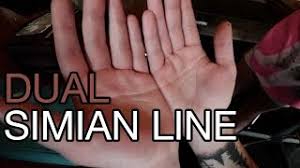 People with the simian line act very intensley and are generally very emotional. Vlog 343 Dual Simian Line Youtube