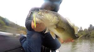 Typically, the drop will happen up until the end of the storm. Spring Fishing In The Rain Youtube