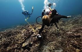 Asu Working To Save Hawaiian Coral Reefs During Onset Of New Ocean Heat Wave Global Asu