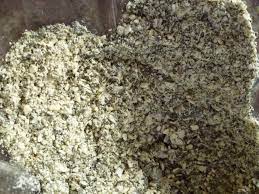 Natural Dog And Cat Dewormer Teawea Homemade