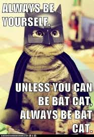 Always Be Yourself Unless You Can Be Bat Cat Always Be Bat Cat Cats Funny Cats Funny Animals