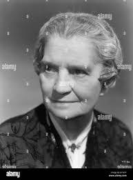 Adrian Beaumont's Instagram, Twitter & Facebook