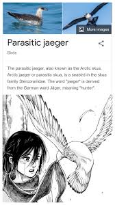 We did not find results for: Jaeger Bird In 2021 Eren Jaeger Sea Birds Jaeger