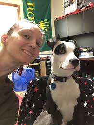 Tulip's recovery from anesthesia after leg injury