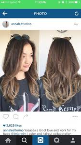 Pin By Mary Ann Lee On Hairrrr Hair Color Asian Balayage Asian Hair Hair Highlights