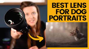 Could This Be The Best Lens For Dog Photography In 2020 I Think So Youtube
