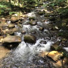 Maybe you would like to learn more about one of these? Photos A Hutan Lipur Sungai Congkak Hulu Langat