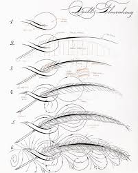 Steps To Quill Flourishing My Attempt To Create Simple Instruction Sheet For Quill Flourishing Ni Flourish Calligraphy Calligraphy Lessons Flourish