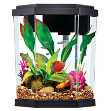 Just type it into the search box, we. Top Fin Aquaponics 2 Gallon Setup Aquaponic