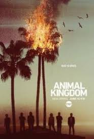 الحلقة 5 مسلسل Animal Kingdom الموسم الاول Animal Kingdom Tnt Animal Kingdom Tv Show Animal Kingdom