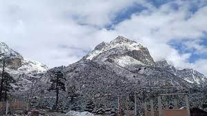 Popularly known as 'valley of flowers', yumthung valley is an ideal place for those nurturing the soul of a nature lover. Lachung Serves As Base For Yumthang Valley Of Flowers