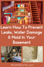 How to prevent basement mold. How To Prevent Mold In The Basement 13 Basement Mold Tips Mold Help For You