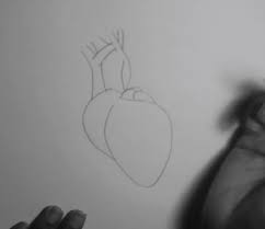 To draw a simple heart icon, draw 2 circles of the same size next to each other. How To Draw The Human Heart Step By Step How To Draw Faster