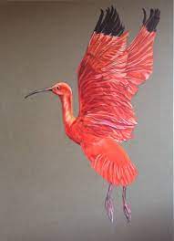 Maybe you would like to learn more about one of these? Sanneke Griepink Rode Ibis Olieverf Op Geprepareerd Linnen 850 Vogels Tekenen Oliepastel Kunst Dierlijke Schilderijen