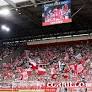 Bundesliga Season Kicks Off with Hoffenheim vs Köln and Freiburg vs Werder Bremen Matches