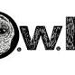 O.W.L.S. - Older Wiser Livelier Seniors - Jesse Ellis on Bird Watching