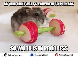 Check spelling or type a new query. Hamster Memes