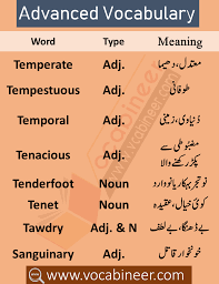 Css And Pms Vocabulary English Vocabulary Words Vocabulary Words Vocabulary