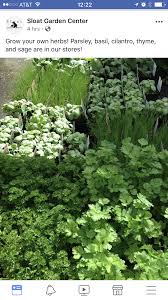 Sloat Garden Center Garden Center Herbs Garden