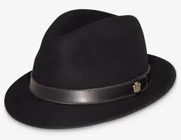 Hat Png Free Download Mens Hats With Feather Transparent Png 1120x1120 Free Download On Nicepng