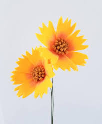 Jenis jenis bunga dari kain flanel. 10 Macam Bunga Dari Kain Flanel Beragam Jenis Dan Warna Dailysia