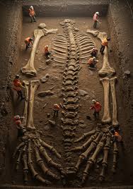 Shocking discovery in the Amazon rainforest! Skeleton of a two-headed giant  found, a revelation that changed history In an extraordinary breakthrough  that has left the scientific community in shock, archaeologists working deep