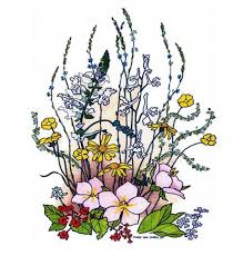 All rights belong to their respective owners. Texas Wildflower Coloring Pages Coloring Pages Ideas