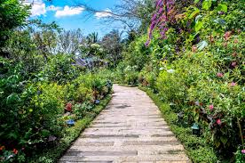 Use this menu information as a guideline, but please be aware that over time, prices and menu items may change without being reported to our site. 8 Reasons To Visit Sonya S Garden Appetizing Adventure