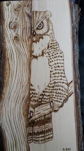 We did not find results for: Owl Hiding Wood Burning Art Pyrography Art Pyrography Patterns