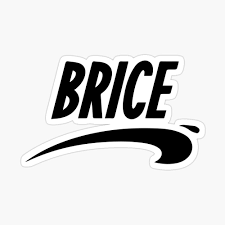 Brice from Nice Magnet by Jayteezy | Redbubble