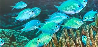This series of tutorials will introduce you to the new features and enhancements in painter essentials 8. An Alternative Aquarium At Home Or Office Clint Eagar Design