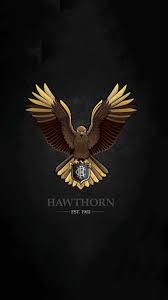 Free usain bolt wallpaper, resolution : Hawthorn Hawks Wallpaper Kolpaper Awesome Free Hd Wallpapers
