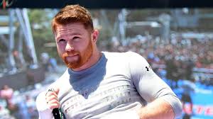 Saul 'canelo' alvarez and his stunning girlfriend fernanda gomez partied into the early hourse after his fightcredit: Canelo Se Caso Una Semana Luego De Su Triunfo Ante Saunders