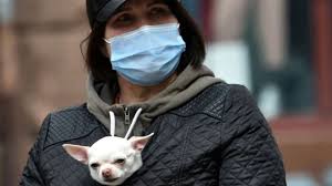 Картинки по запросу карантин продлили V Kieve Prodlili Karantin Chto Teper Zapresheno Bbc News Ukrayina