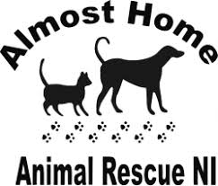 725 s 32nd street, fort dodge, iowa 50501, united states. Almost Home Northern Ireland Animal Rescue Rehoming Charity