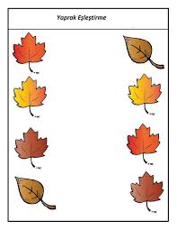Sonbahar Etkinlik Sayfalari Sonbahar Calisma Kagitlari Evimin Altin Topu Sonbahar Yaprak Calisma