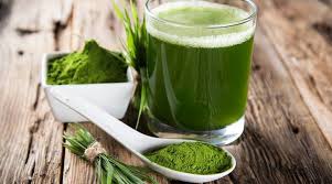Here's why you should have wheatgrass juice in the morning | Lifestyle News,The Indian Express