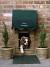 Dog Door In Wall