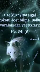 Menali Canavar Sekilleri - Menali Videolar ve Sozler - Kesfet Azerbaycan