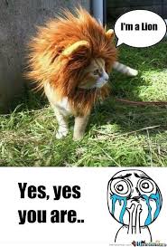 I M A Lion Cute Funny Animals Cute Animals Crazy Cats
