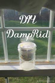Diy Damprid Odor Eliminator Diy Diy Cleaning Products Homemade Cleaning Solutions