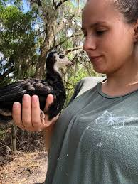 Our new mascot. Lurkey Turkey