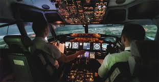 Indian defence forces (air force). 5 Epic Reasons For Why You Should Become A Pilot