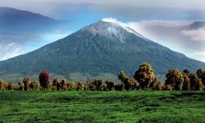 Hutan desa setianegara merupakan tempat wisata di kuningan jawa barat yang tepat buat kamu yang ingin sejenak menghindar dari ramainya perkotaan. 33 Tempat Wisata Di Kuningan Terbaru Lagi Hits Dikunjungi Itrip