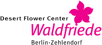Die staatsgemeinschaft hat weibliche genitalverstümmelung weltweit als menschenrechtsverletzung geächtet und durch zahlreiche internationale übereinkommen verboten. Verbreitung Von Fgm Desert Flower Center Waldfriede Dfc